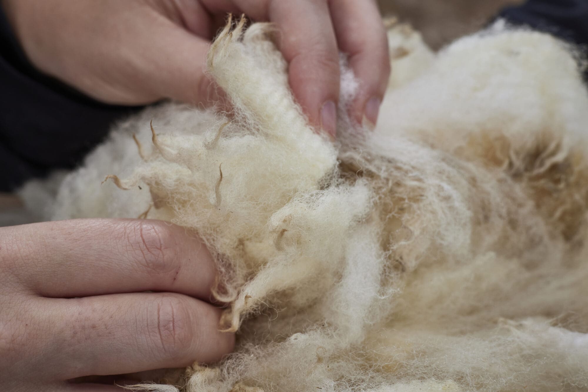 Our Strategy - British Wool