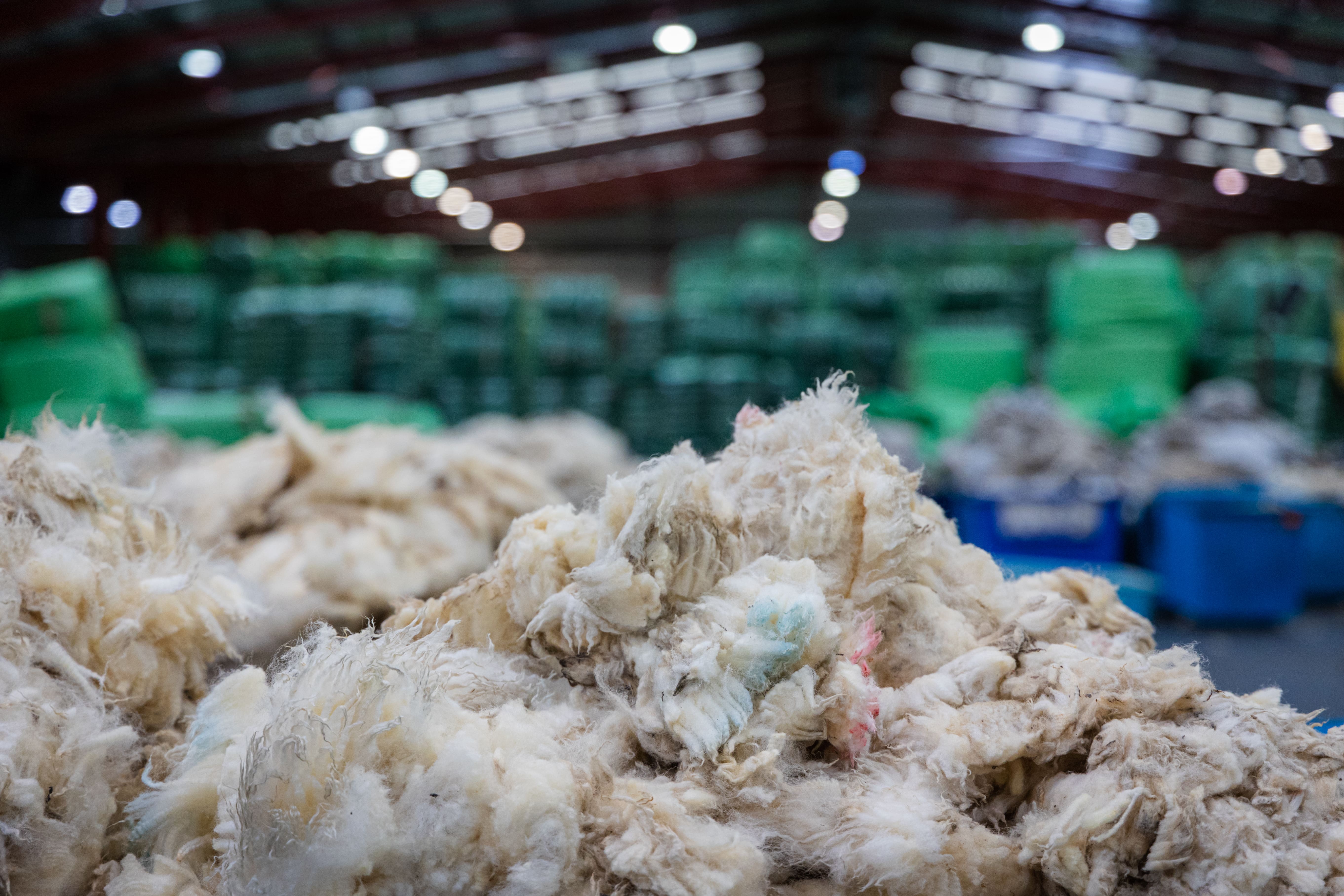 Wool Sales - British Wool