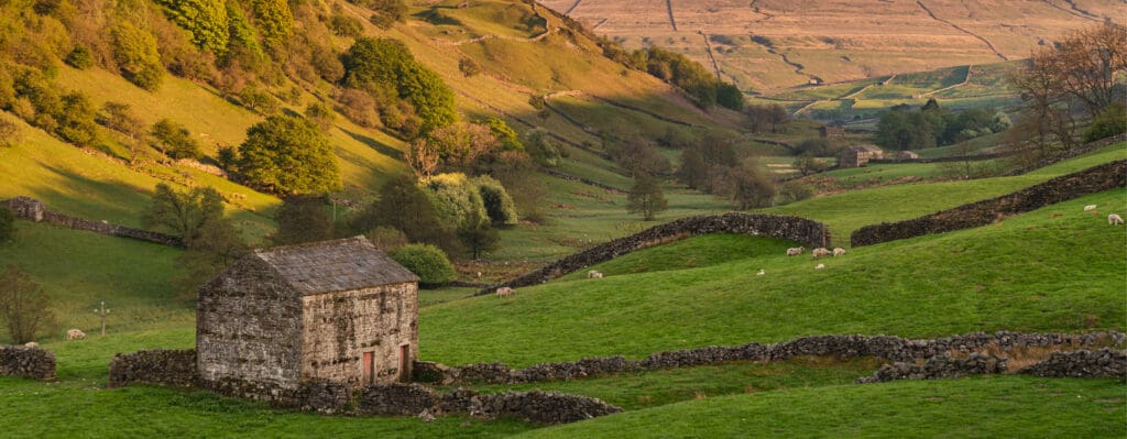 Carbon Footprint of British wool