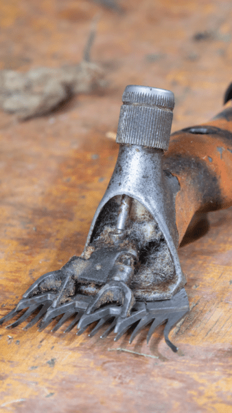 Key Details for our Shearing Courses