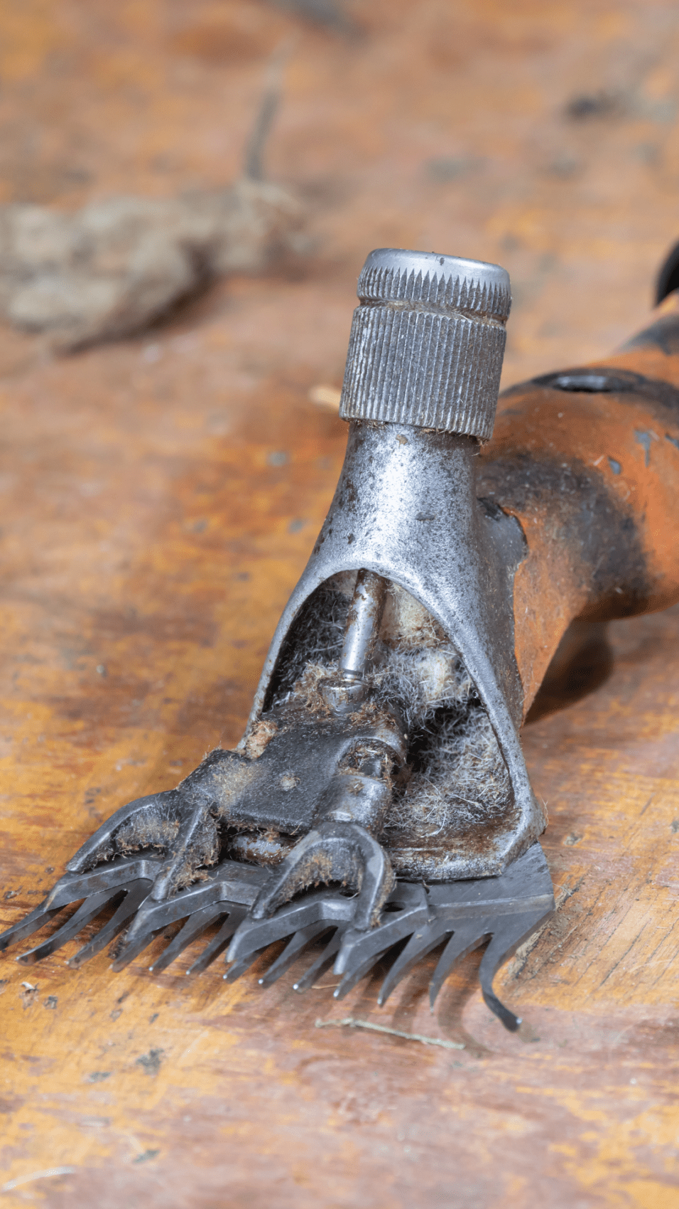 Key Details for our Shearing Courses